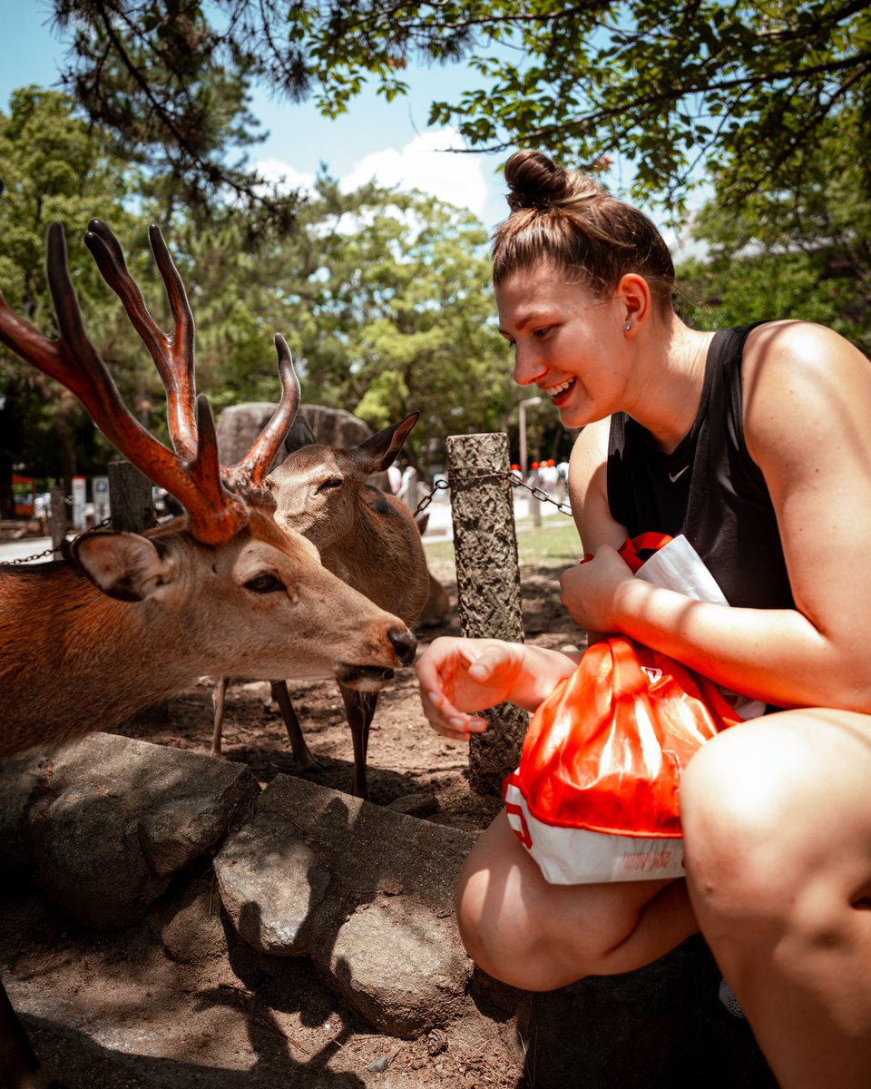 HawaiiWBB's tweet photo. Deer to our hearts! 💚🦌
Visited historic Todaiji Temple and got to know the friendly (and hungry) residents of Nara Deer Park
#GoBows #SISTAHHOOD #BowsInJapan 🌈🇯🇵 https://t.co/BKswLSnZdQ