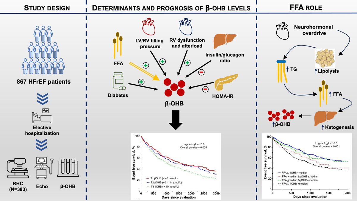 Luca Monzo (@lucamonzo) on Twitter photo Increased β-OHB seems to reflect the heightened lipolytic state induced by neurohormonal overdrive in advanced HFrEF, and not a rescue mechanism to improve energetics as previously proposed.
onlinelibrary.wiley.com/doi/10.1002/ej…
<a href="/CiCPNancy/">CIC-Plurithématique Nancy</a> <a href="/EJHFEiC/">EJHF Editor-in-Chief</a> <a href="/ESC_Journals/">European Society of Cardiology Journals</a> <a href="/Univ_Lorraine/">Lorraine</a> <a href="/MayoClinic/">Mayo Clinic</a> Increased β-OHB seems to reflect the heightened lipolytic state induced by neurohormonal overdrive in advanced HFrEF, and not a rescue mechanism to improve energetics as previously proposed.
onlinelibrary.wiley.com/doi/10.1002/ej…
<a href="/CiCPNancy/">CIC-Plurithématique Nancy</a> <a href="/EJHFEiC/">EJHF Editor-in-Chief</a> <a href="/ESC_Journals/">European Society of Cardiology Journals</a> <a href="/Univ_Lorraine/">Lorraine</a> <a href="/MayoClinic/">Mayo Clinic</a>