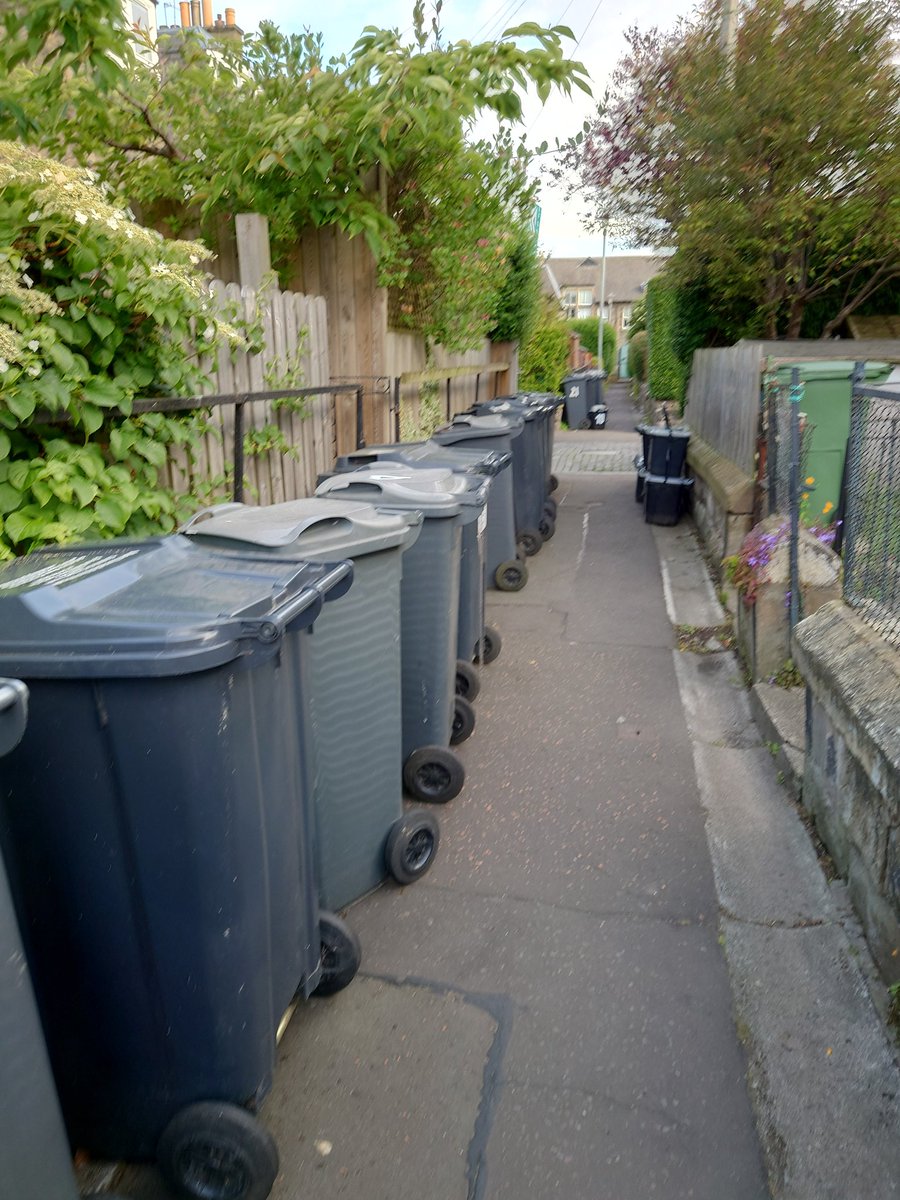 Shaurna Dickson tweet media