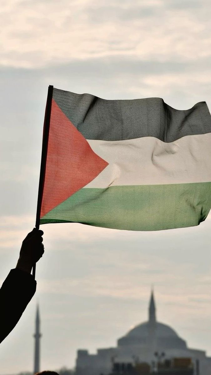 🇵🇸This flag means freedom.

Agree or disagree?