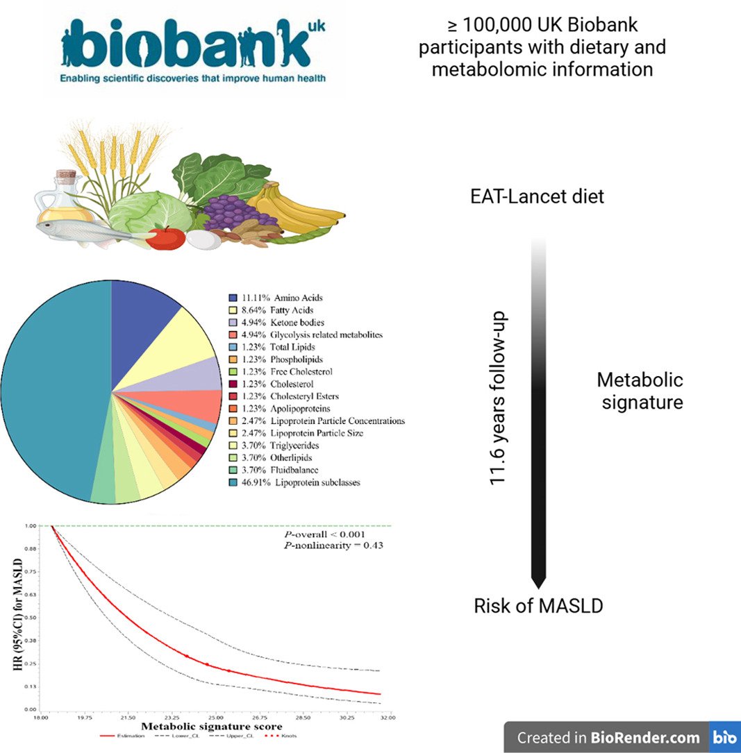Maja Thiele (@majathiele) on Twitter photo Ever wondered WHY eating healthy is beneficial for your liver?
🥦🫘=🧪=🤎💪
New study from <a href="/uk_biobank/">UK Biobank</a> in <a href="/JHEP_Reports/">JHEP Reports</a> associated EAT-Lancet diet to changes in 81 metabolites, potentially underlying diet's protective mechanism against MASLD
jhep-reports.eu/article/S2589-… Ever wondered WHY eating healthy is beneficial for your liver?
🥦🫘=🧪=🤎💪
New study from <a href="/uk_biobank/">UK Biobank</a> in <a href="/JHEP_Reports/">JHEP Reports</a> associated EAT-Lancet diet to changes in 81 metabolites, potentially underlying diet's protective mechanism against MASLD
jhep-reports.eu/article/S2589-…