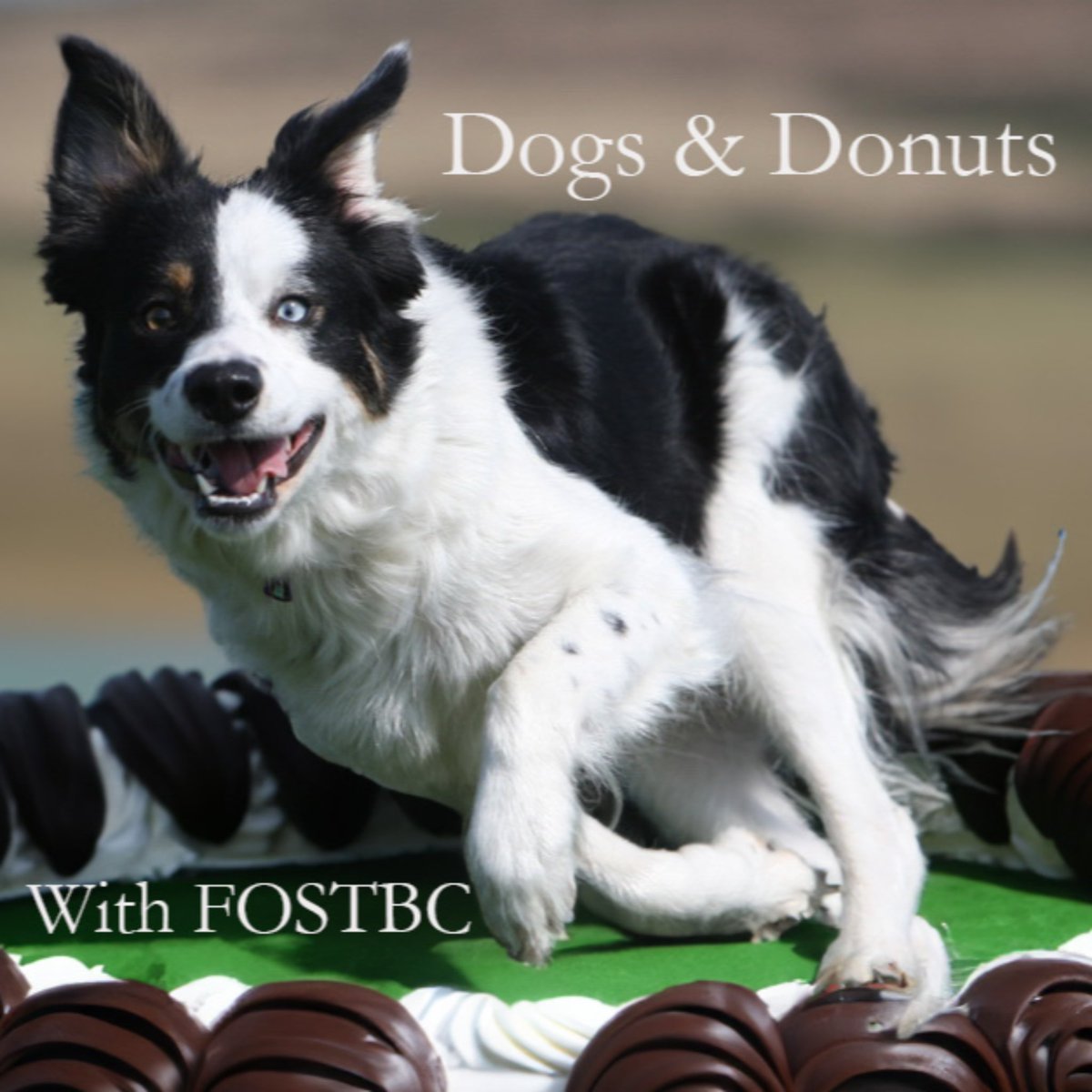 Freedom of Spirit tweet media