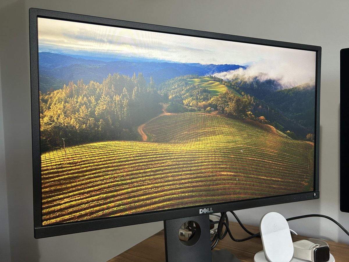 yakuter's tweet image. ✨Bayram hediyesi 🎁
🖥️Severek kullandığım 24 inç Dell monitörümü bir takipçime hediye etmek istiyorum. Yeni monitör aldığım için boşa çıktı diyebilirim.
Katılım için beni takip edip, RT'leyip ve yorum bırakabilirsiniz. 🤗
Not: Sadece Ankara'da elden teslim edebilirim.