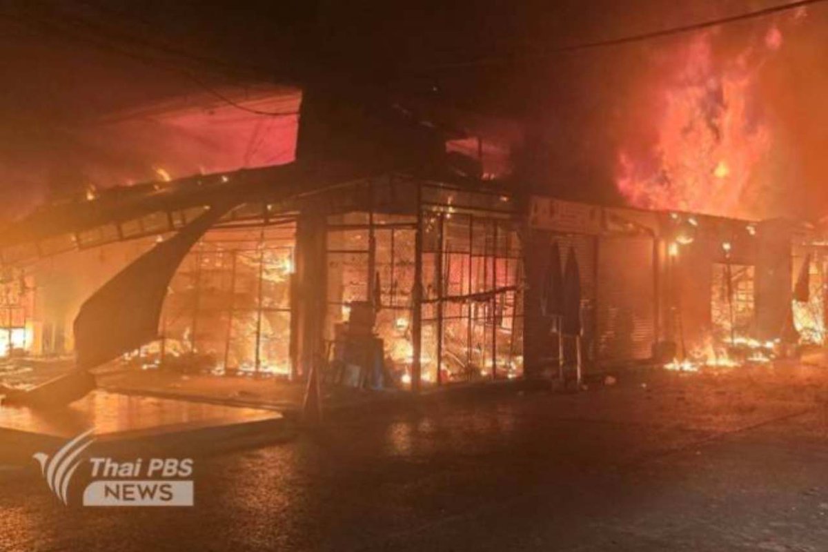 WFFThailand's tweet photo. WFFT Responds to Fire That Ravages Infamous Chatuchak Market, Leaving 1,000+ Animals Dead
https://t.co/ZfZMIe7oNH 
#Chatachak #Bangkok #thailand #animals #wildlife https://t.co/27mRmINuUl
