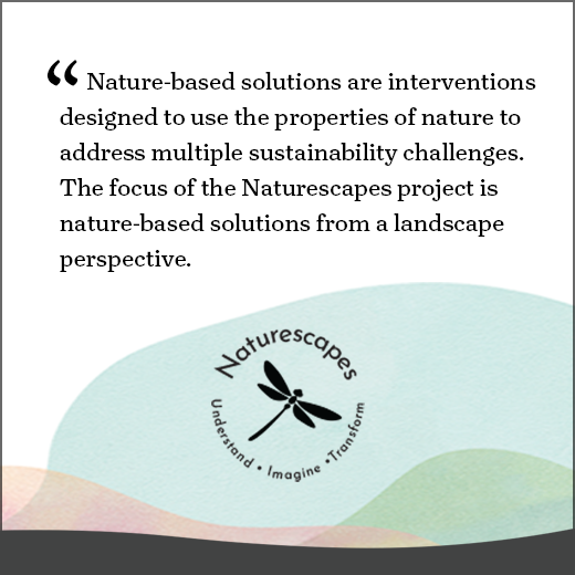 We are heading out into the field to investigate NATURESCAPES looking at nature-based solutions from a landscape perspective ...

We will work with NATURESCAPES in diverse social, cultural, economic and geographical settings across 30 functional urban areas and 12 case studies.