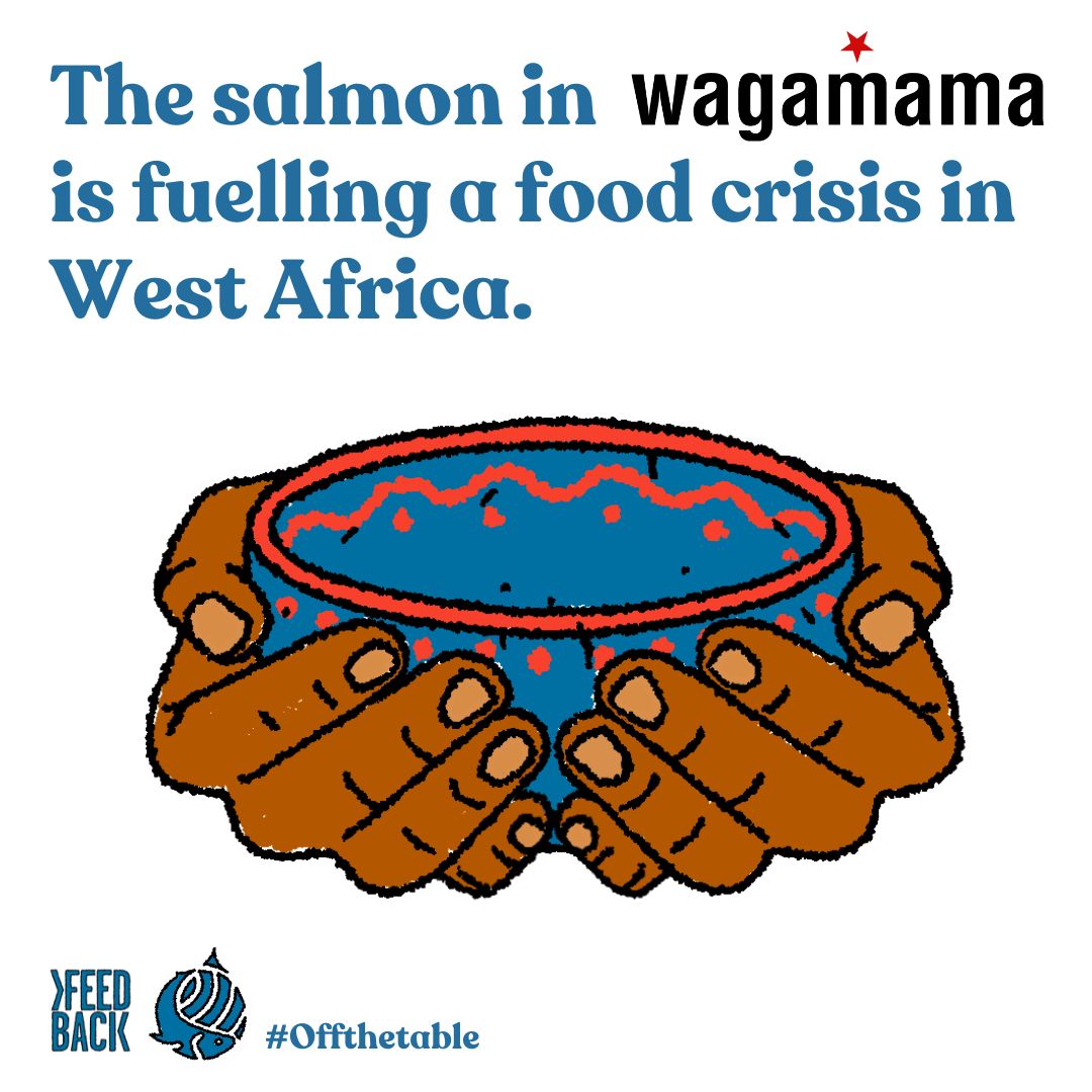 wearefoodrise's tweet photo. ⚠️ The salmon in @wagamama_uk is fuelling a food crisis in West Africa.

 🐟  Each year enough wild fish to feed up to 4 MILLION people across these regions is extracted and exported to feed farmed salmon and livestock in Norway.

This is the same salmon that ends up in Wagamama. https://t.co/Dd6gmSRMVf