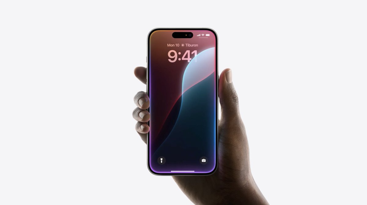 Léo Duff tweet media