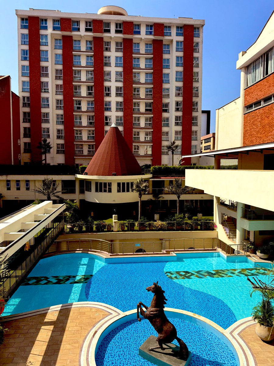 Hello Nairobi! <a href="/improvingpsych/">SIPS (Account Archived - See Bio)</a> #randomstatueinthepool 😅