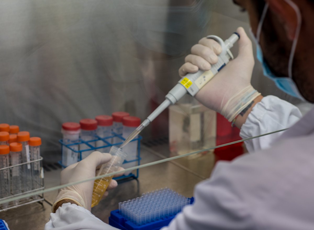 GVA Fisabio (@gvafisabio) on Twitter photo 🔬🧪 En el Biobanco IBSP-CV de <a href="/GVAsanitat/">GVA Sanitat</a> estamos comprometidos en el apoyo a la comunidad científica mediante la provisión de muestras biológicas valiosas que impulsan estudios innovadores. 🔬🧪 En el Biobanco IBSP-CV de <a href="/GVAsanitat/">GVA Sanitat</a> estamos comprometidos en el apoyo a la comunidad científica mediante la provisión de muestras biológicas valiosas que impulsan estudios innovadores.