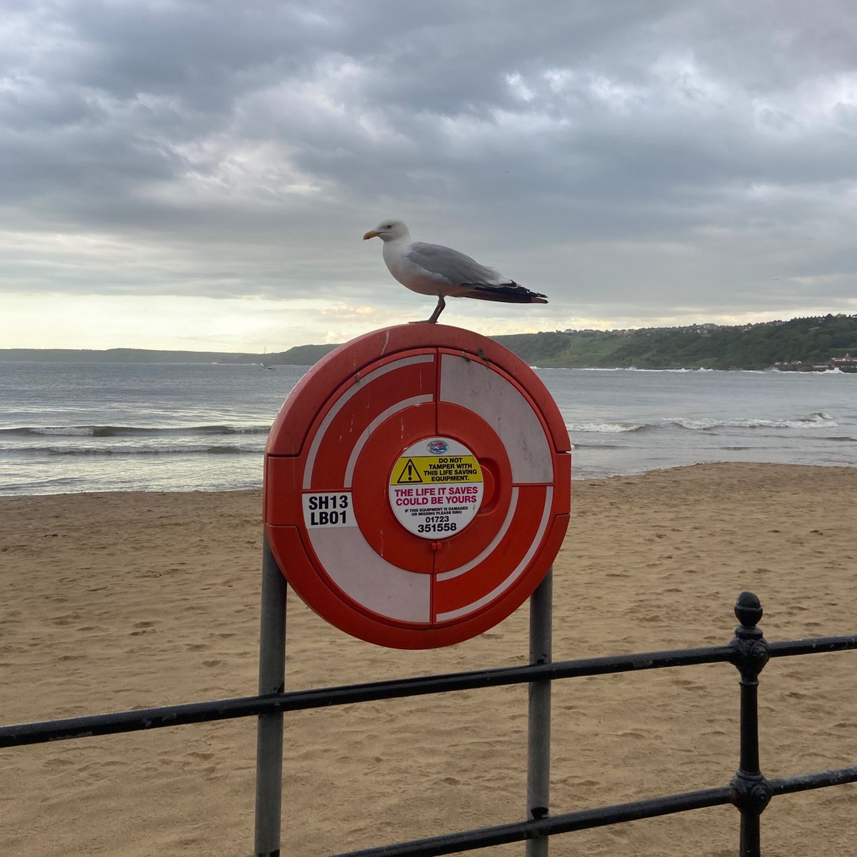 ScarbsMuseums's tweet image. Ahoy there! 👋