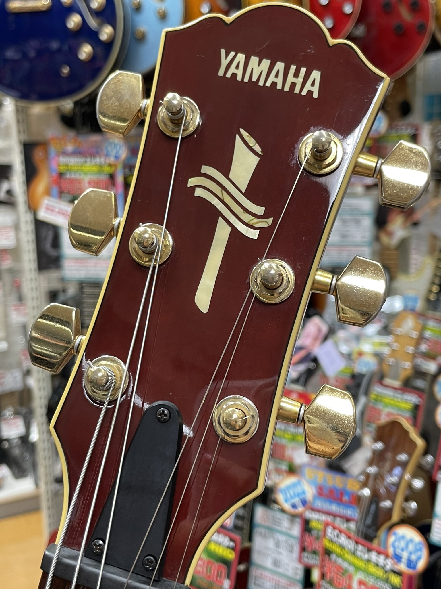 うつぼ楽器 仙台 on X: うつぼ楽器 仙台 on X:
