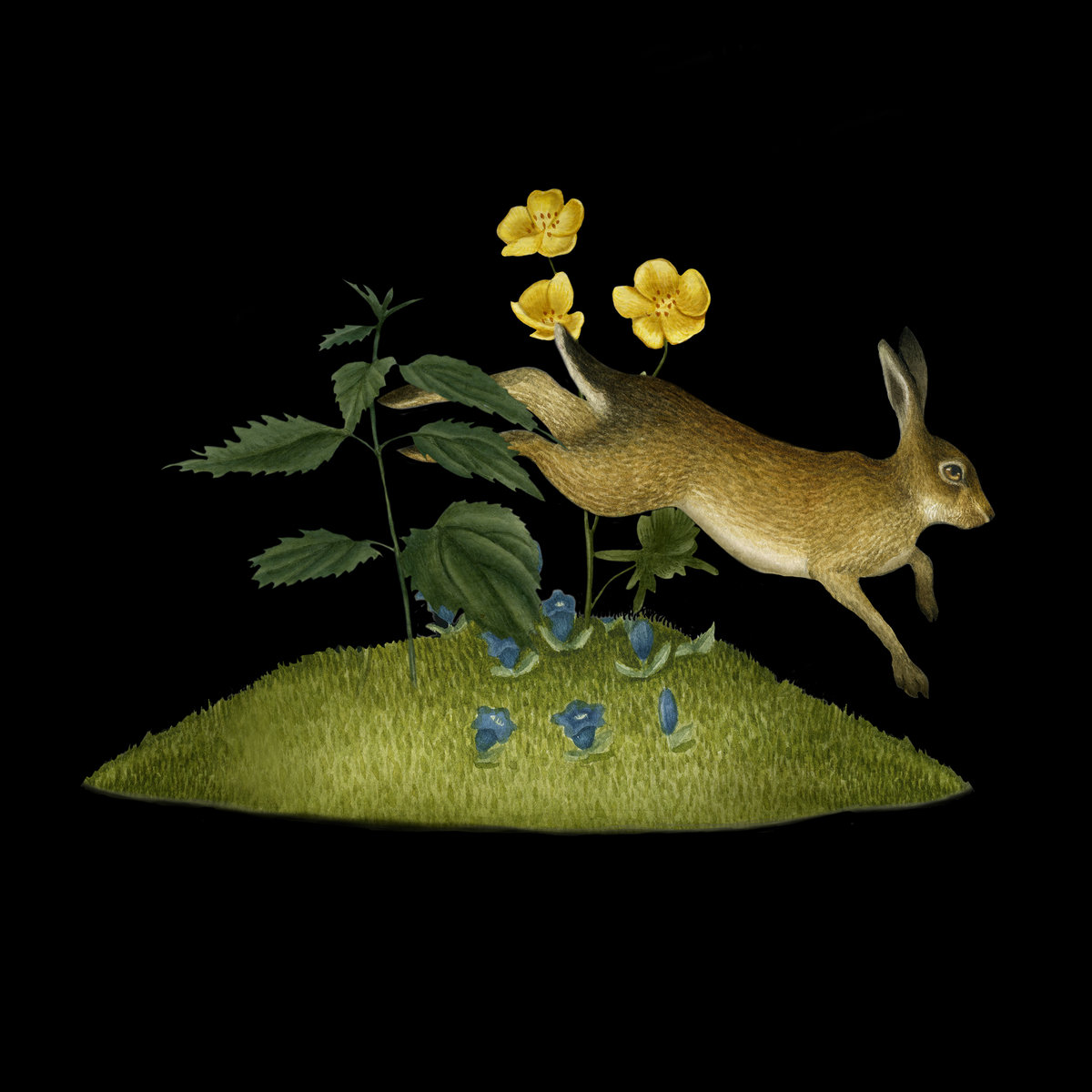 Su-a Lee (@sualeecello) on Twitter photo The wonderfully talented <a href="/kateyoungmeaw/">Kate Young</a> has released 1st single 'Mountain' from her forthcoming album 'Umbelliferæ' drawn on the folklore of wildflowers & our human connection to the land🌼🌱🌿
So proud to be part of Kate's gorgeous work. 🙏🏻🥰
Listen at
kateinthekettle.bandcamp.com/track/mountain… The wonderfully talented <a href="/kateyoungmeaw/">Kate Young</a> has released 1st single 'Mountain' from her forthcoming album 'Umbelliferæ' drawn on the folklore of wildflowers & our human connection to the land🌼🌱🌿
So proud to be part of Kate's gorgeous work. 🙏🏻🥰
Listen at
kateinthekettle.bandcamp.com/track/mountain…