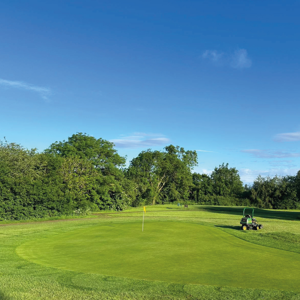 Indigrow tweet media