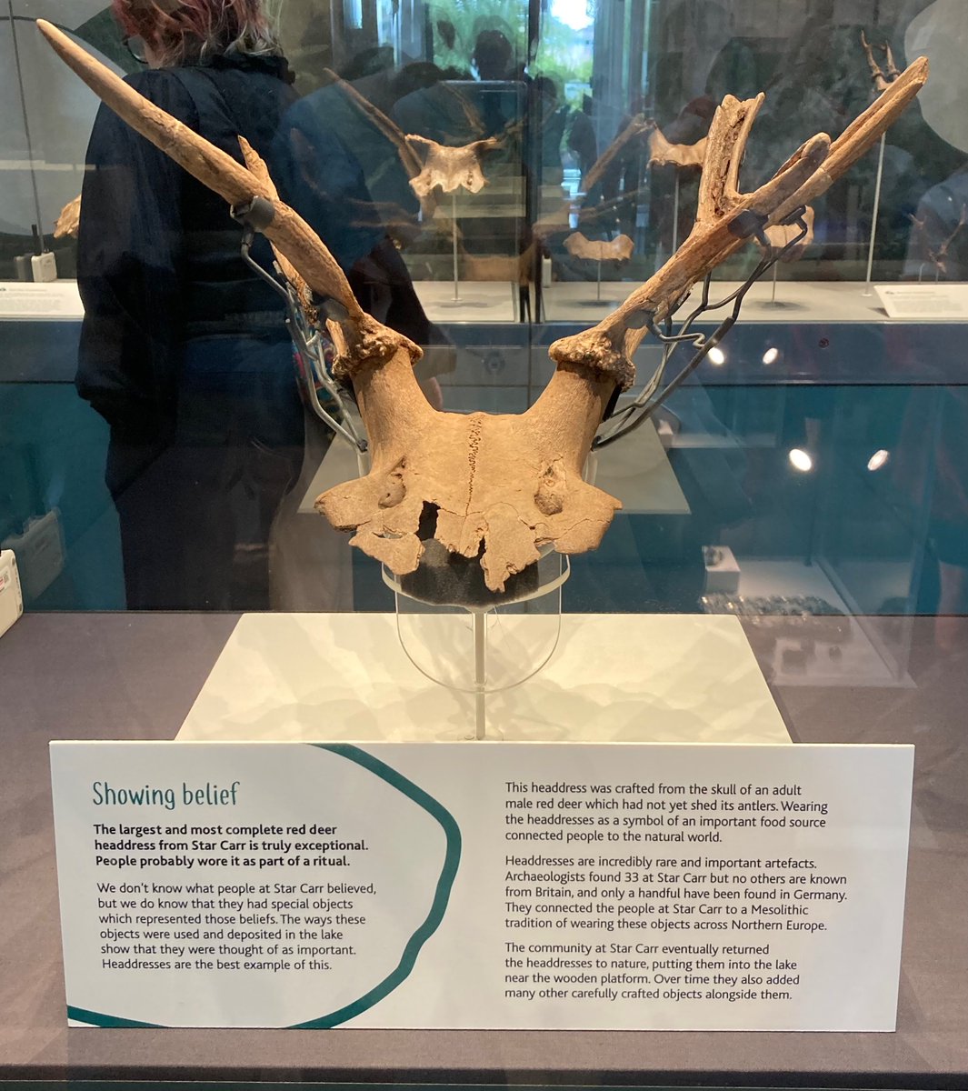 Gill Williams tweet media