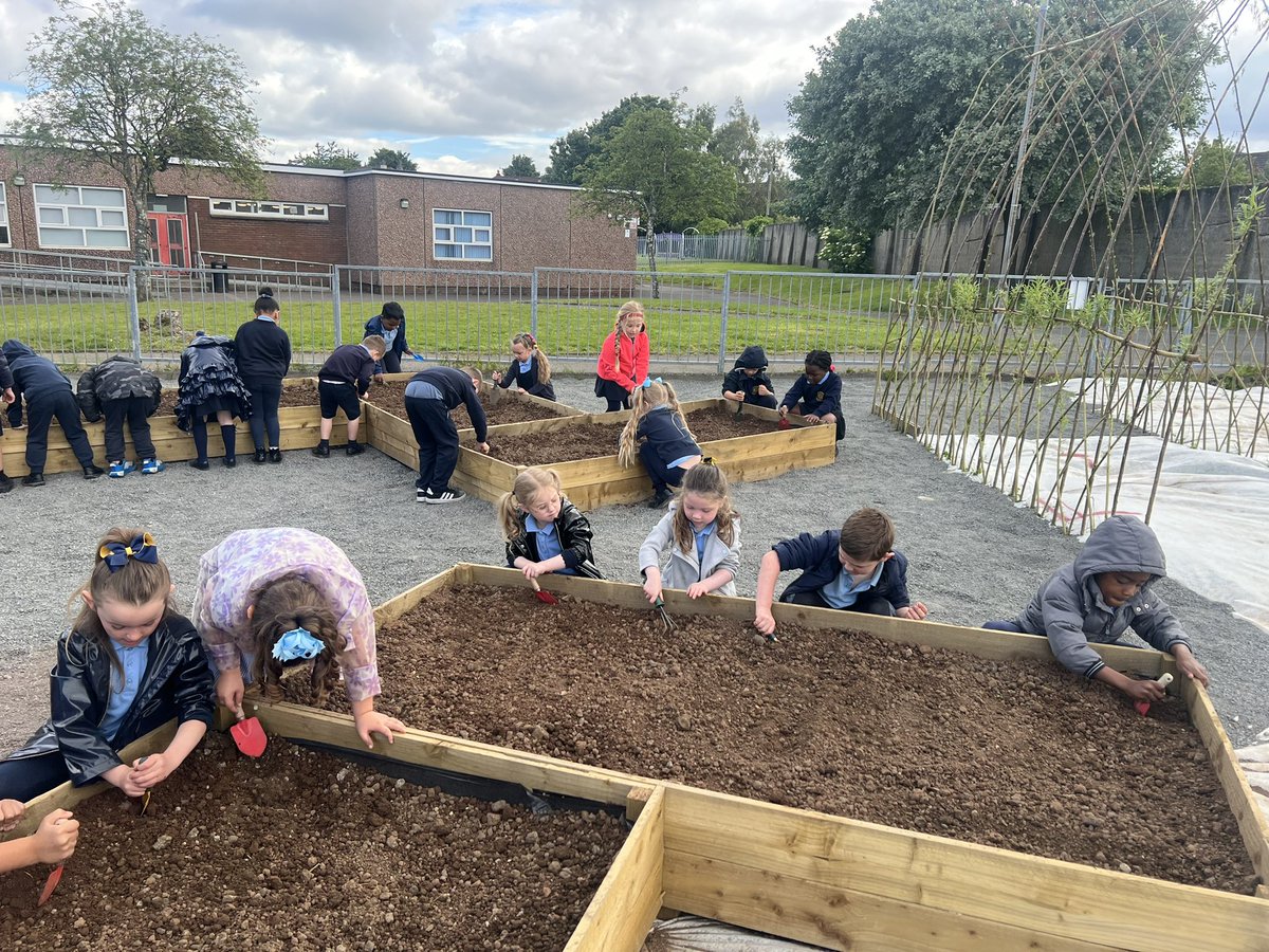 msmcgaffigan's tweet photo. P1a and P1b were busy working hard preparing the soil for all the plants and vegetables we are hoping to grow. 🪴🪻🫛🌱@MrsTemple_ @stcatherinespsy @MorganS_HWB https://t.co/KH7WRSXjEE