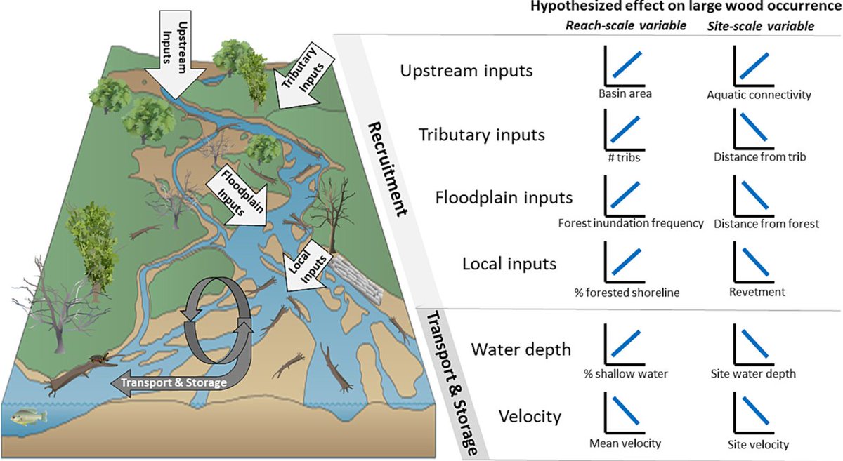 M Van Appledorn tweet media