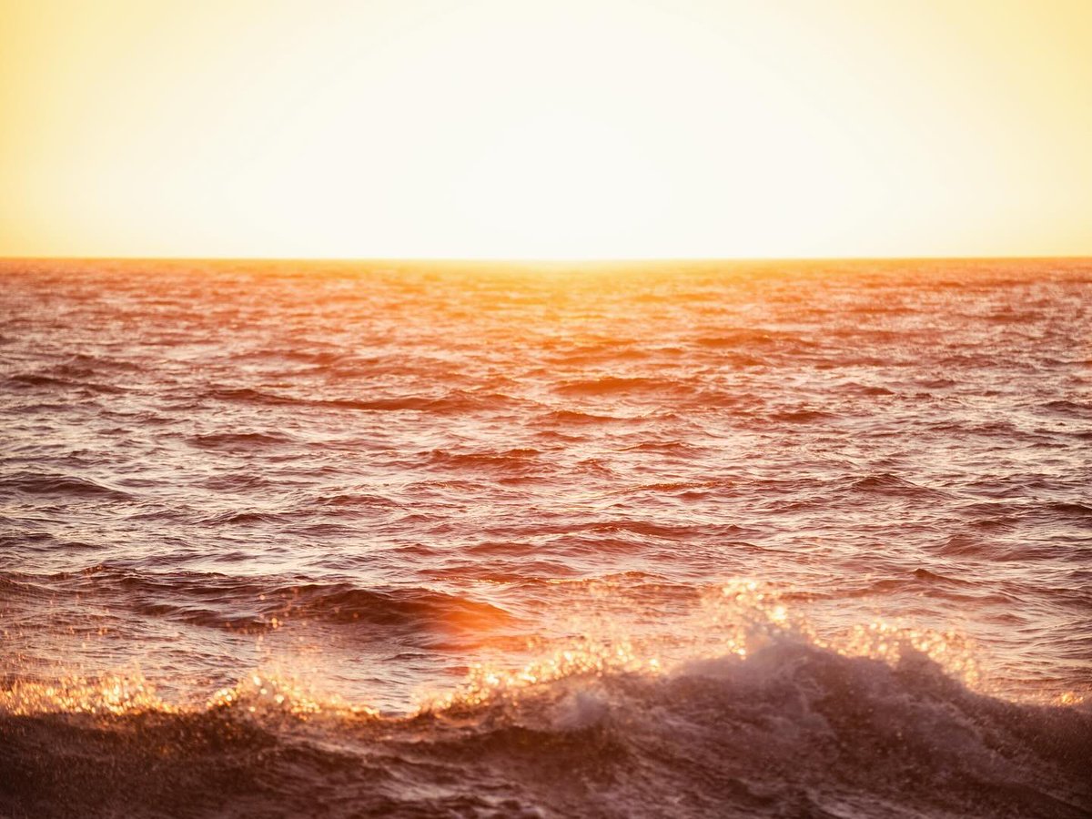 FLBS - Univ. MT (@flbsum) on Twitter photo New research project led by <a href="/FLBSUM/">FLBS - Univ. MT</a> professor Matthew Church receives $9.5 million over the next five years to refine details of ocean carbon cycling and ecosystem resilience in a changing global climate.
Full story: flbs.umt.edu/newflbs/educat…
<a href="/SchmidtOcean/">Schmidt Ocean</a> <a href="/umontana/">University of Montana</a> New research project led by <a href="/FLBSUM/">FLBS - Univ. MT</a> professor Matthew Church receives $9.5 million over the next five years to refine details of ocean carbon cycling and ecosystem resilience in a changing global climate.
Full story: flbs.umt.edu/newflbs/educat…
<a href="/SchmidtOcean/">Schmidt Ocean</a> <a href="/umontana/">University of Montana</a>