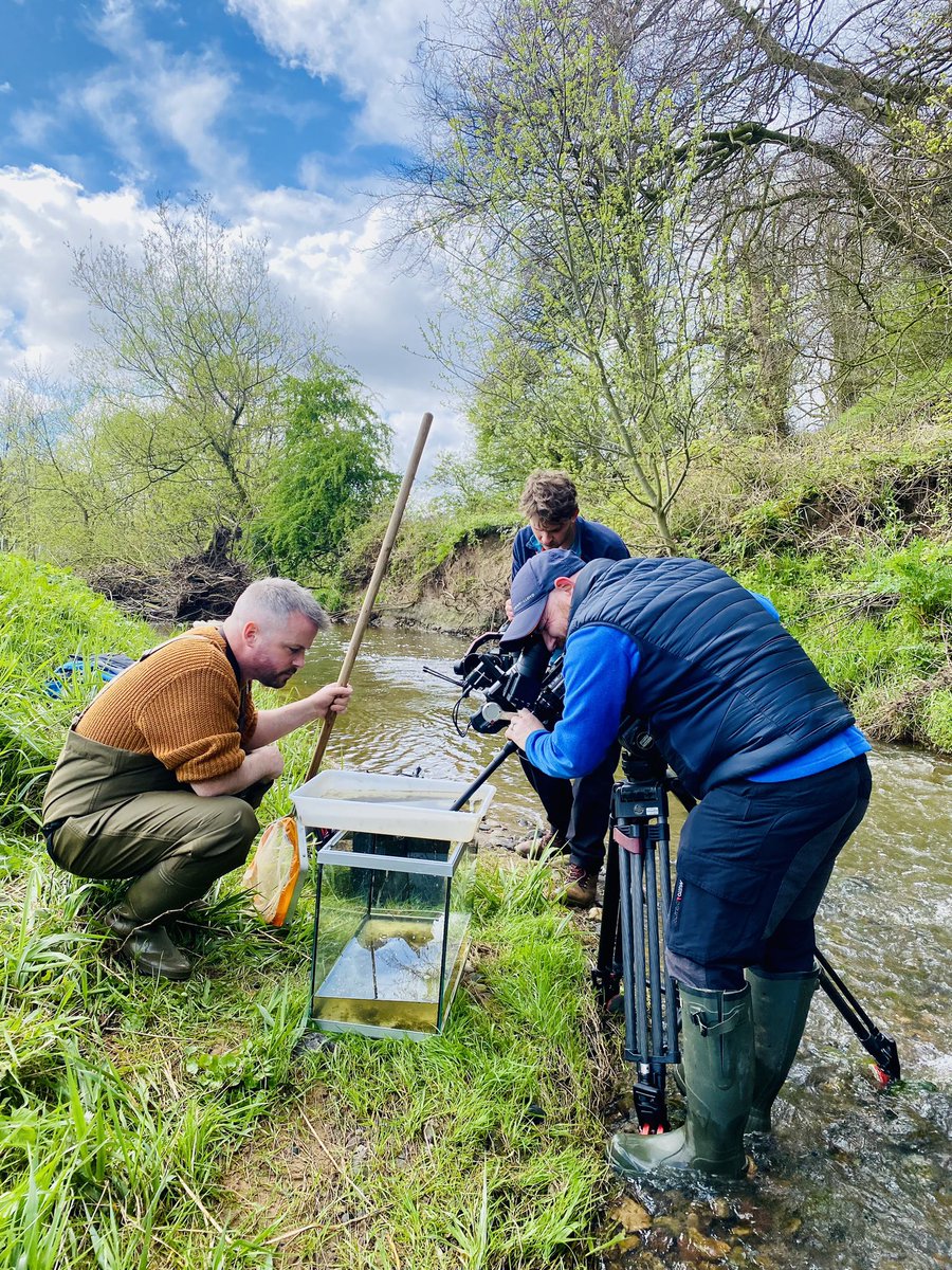 Sean McCormack MVB 🏳️‍🌈🇮🇪(he/him) tweet media
