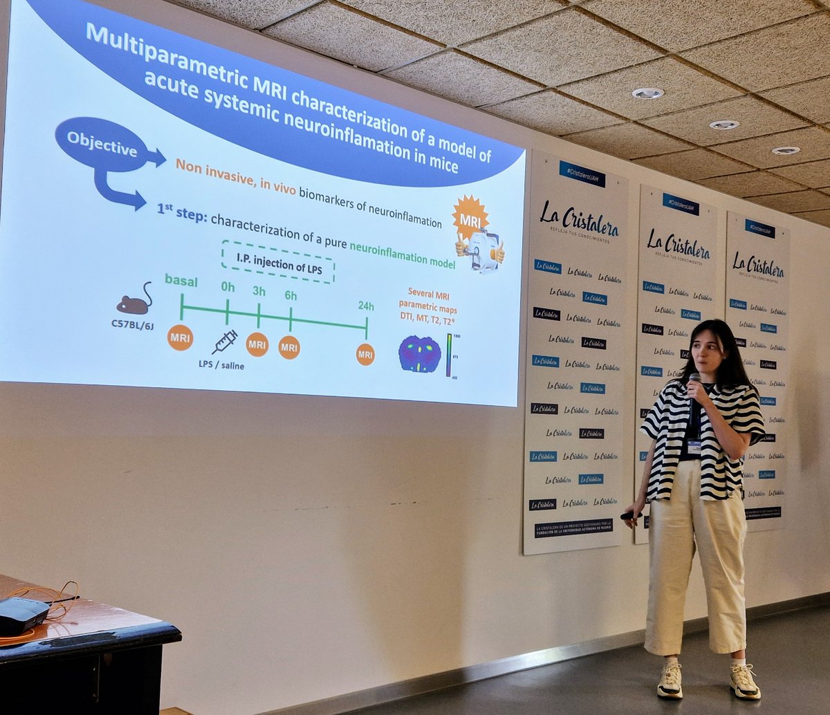 IIBmCSICUAM's tweet photo. 22. 🏃🗣️Segunda (y última 🥵)  sesión de Flash Talks en el #Retreat2024IIBM de #CristaleraUAM

¡Comenzamos!
🔵Raquel González Alday
🔵Nuria Casa Rodríguez
🔵Miguel Hernández Roca https://t.co/S91icZVTNa