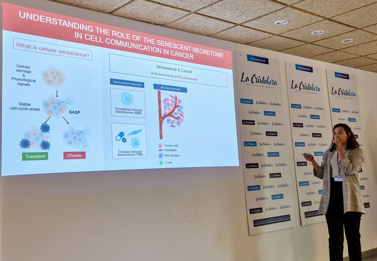 IIBmCSICUAM's tweet photo. 22. 🏃🗣️Segunda (y última 🥵)  sesión de Flash Talks en el #Retreat2024IIBM de #CristaleraUAM

¡Comenzamos!
🔵Raquel González Alday
🔵Nuria Casa Rodríguez
🔵Miguel Hernández Roca https://t.co/S91icZVTNa