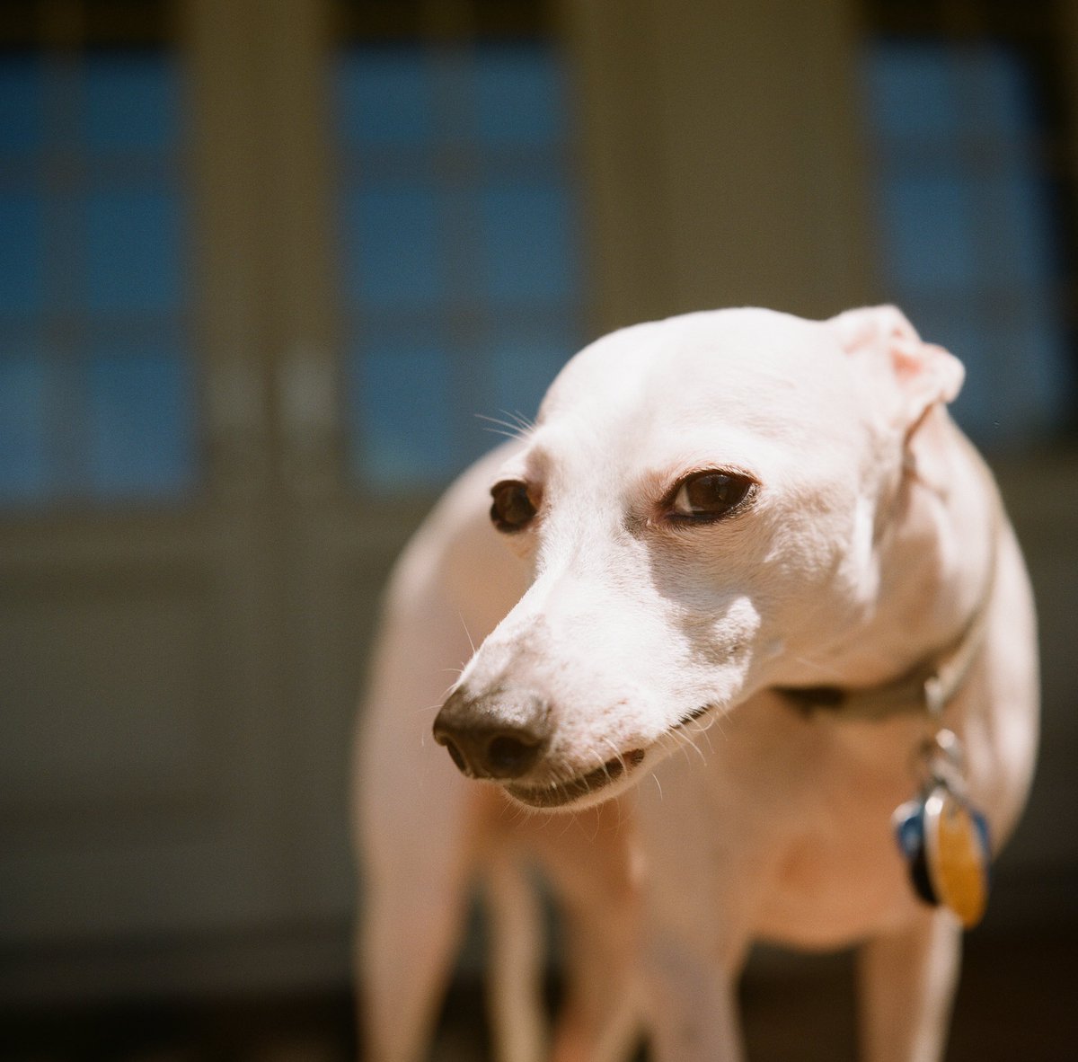 Nick Householder tweet media