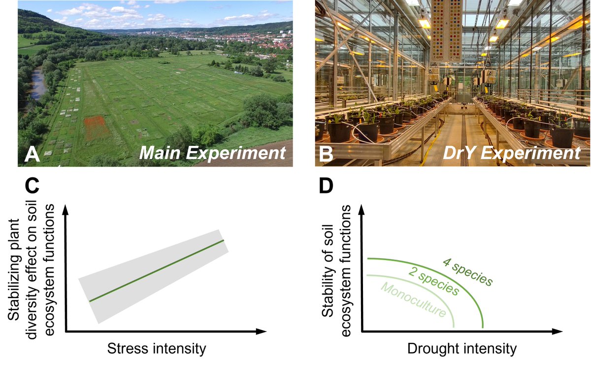 RIO Journal (@riojournal) on Twitter photo Within @jena_experiment, a new sub-project will use long-term data and new #soil analyses to better understand relationships between #plant diversity and #ecosystem functioning.
🔓Grant Proposal: doi.org/10.3897/rio.10….
Funded by <a href="/dfg_public/">DFG public | @dfg_public@wisskomm.social</a> & <a href="/idiv/">iDiv Biodiversity Research</a>.
#biodiversity #soilscience Within @jena_experiment, a new sub-project will use long-term data and new #soil analyses to better understand relationships between #plant diversity and #ecosystem functioning.
🔓Grant Proposal: doi.org/10.3897/rio.10….
Funded by <a href="/dfg_public/">DFG public | @dfg_public@wisskomm.social</a> & <a href="/idiv/">iDiv Biodiversity Research</a>.
#biodiversity #soilscience