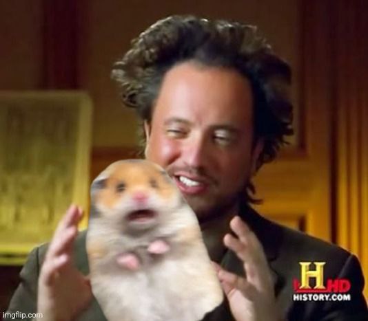 Hamster Screaming tweet media