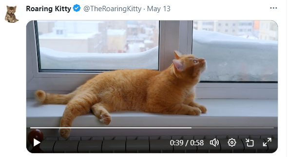 DaKnot's tweet photo. Am connecting something here or not? Is today lift off day? The end of the video featuring FBDO shows the cat looking up - as in lift off. The ET reference shows his ship taking off. 6/11 = lift off day? $gme @TheRoaringKitty @CrazyLadyTrader @MrAc5later #MOASS #roarkitty #hodl https://t.co/ITvKhPmE3T