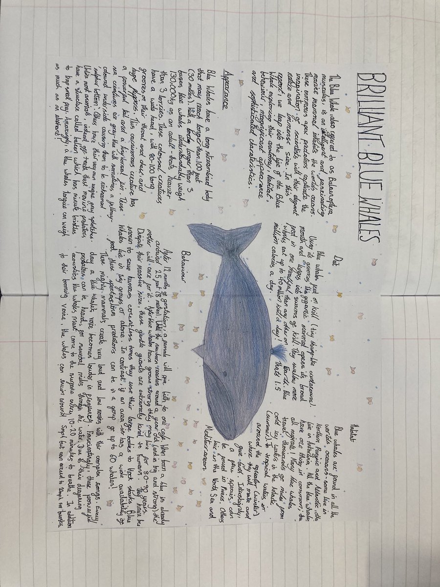 Pulb_school's tweet image. Non chronological report … spending time in our extended writing #writingfocus #extendedwriting