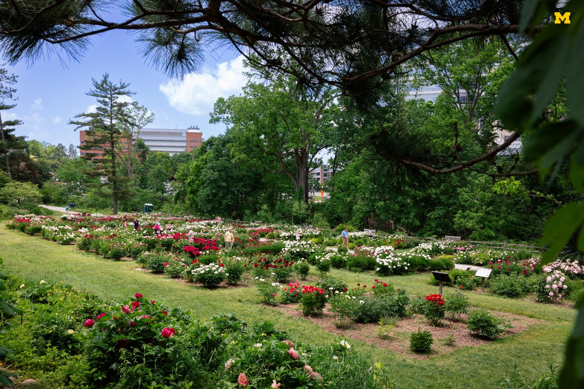 Programs through Matthaei Botanical Gardens and Nichols Arboretum, like the Urban Agriculture Resilience Program and Refugee Agricultural Partnership Program, are leveraging land and spaces for community good. Feature by <a href="/MichiganAlumni/">Alumni Association of the University of Michigan</a>: myumi.ch/DrzDy