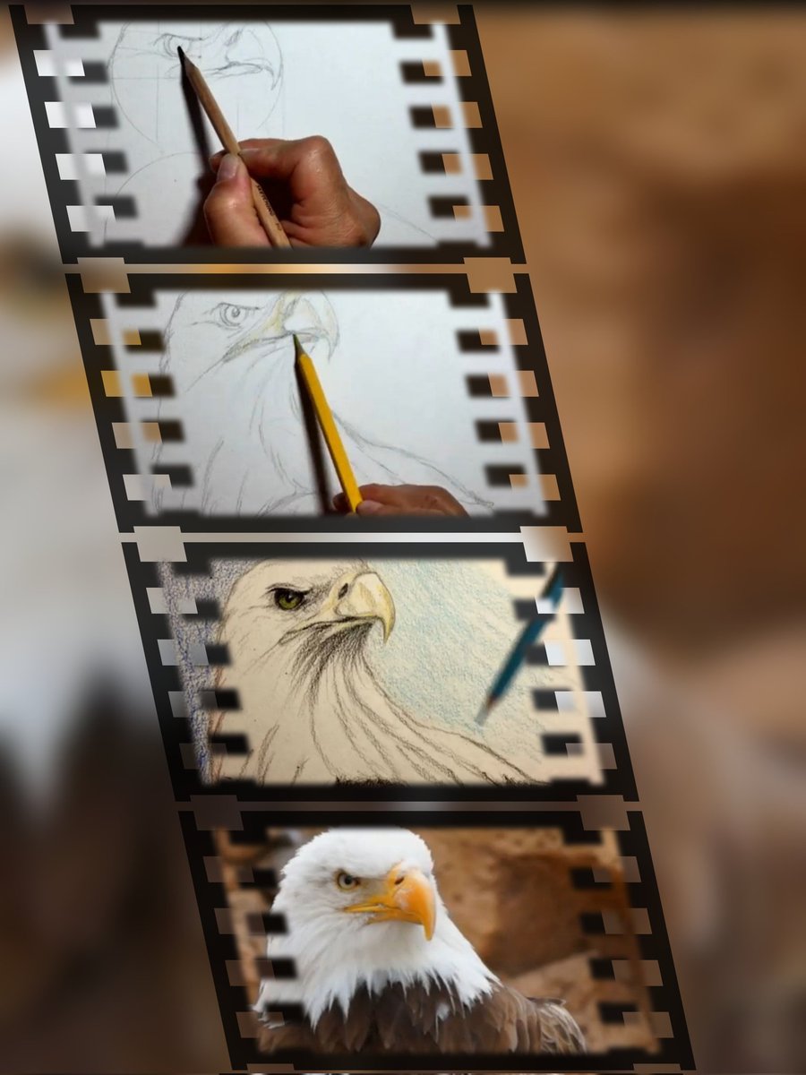 ✨ One of the most attractive features of these birds is their boldness!
youtu.be/R8v9cxRHnCY
#beautiful
#worldisbeautiful
#weekend 
#travel
#usefulpositive