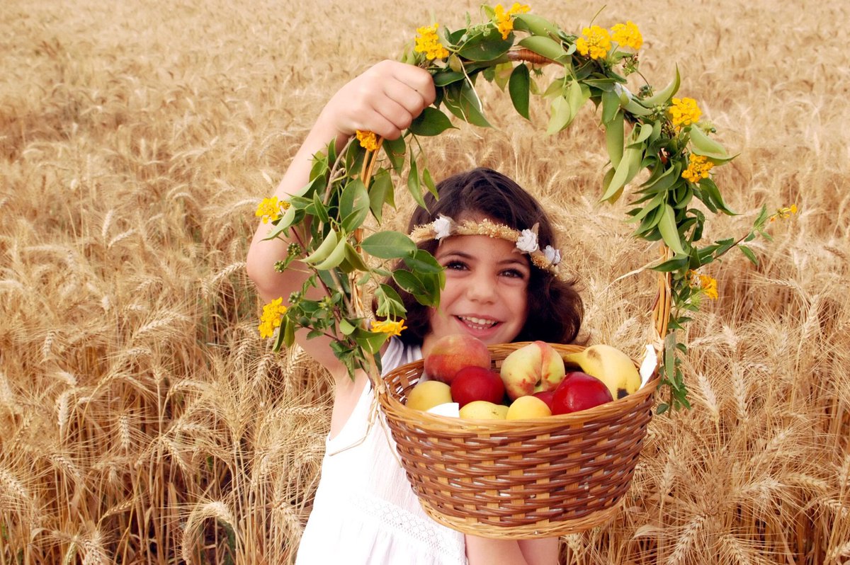 FIRMisrael's tweet photo. This evening marks the beginning of the Jewish holiday of Shavuot. But what is this holiday really about, and what should you know about it as a believer? Read this article to learn more about this often-overlooked holiday.

https://t.co/nlBehaoxkb https://t.co/dvGzb3M4Ae