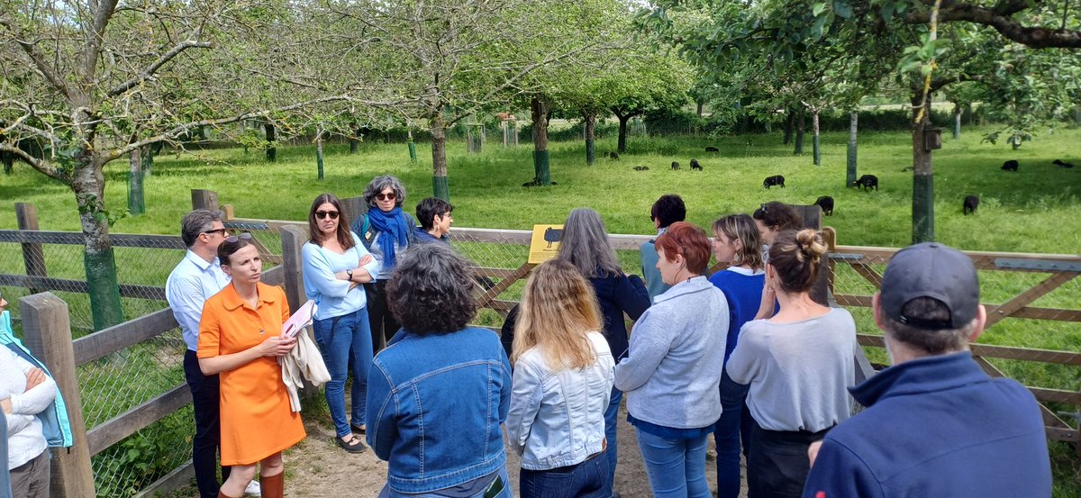 EDD Académie de Rennes 🌿🌍 tweet media