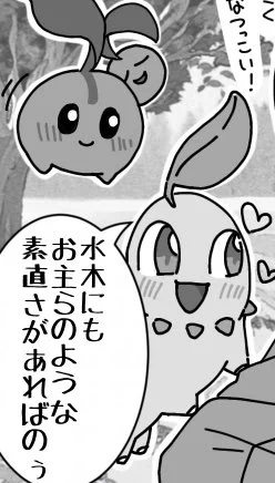 私の永遠の相棒、チコリータ🫶 