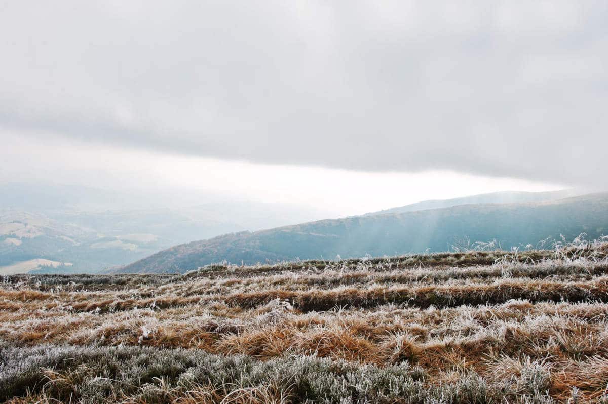 Veeplaas1's tweet image. Join the 59th Grassland Society of Southern Africa Congress at Gariep Resort from 22 to 26 July. Register now for an insightful experience in ecology! Find out more on #AgriOrbit: bit.ly/4aWAS4z.  

#Biodiversa+ #GSSA #GrasslandSocietyofSouthernAfrica #Conference