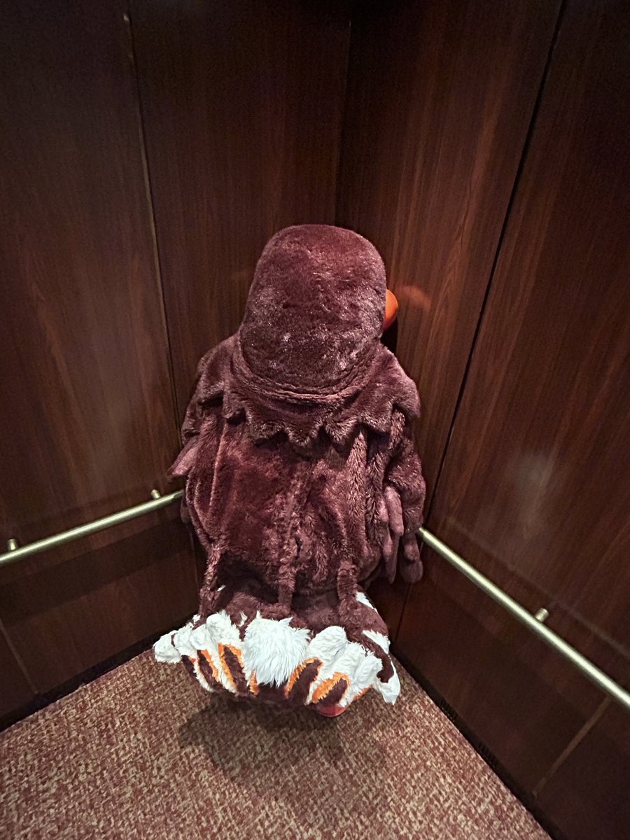 virginia_tech's tweet photo. it's always WHO is the HokieBird... not HOW is the HokieBird 😔 https://t.co/UNwg0FM5zs