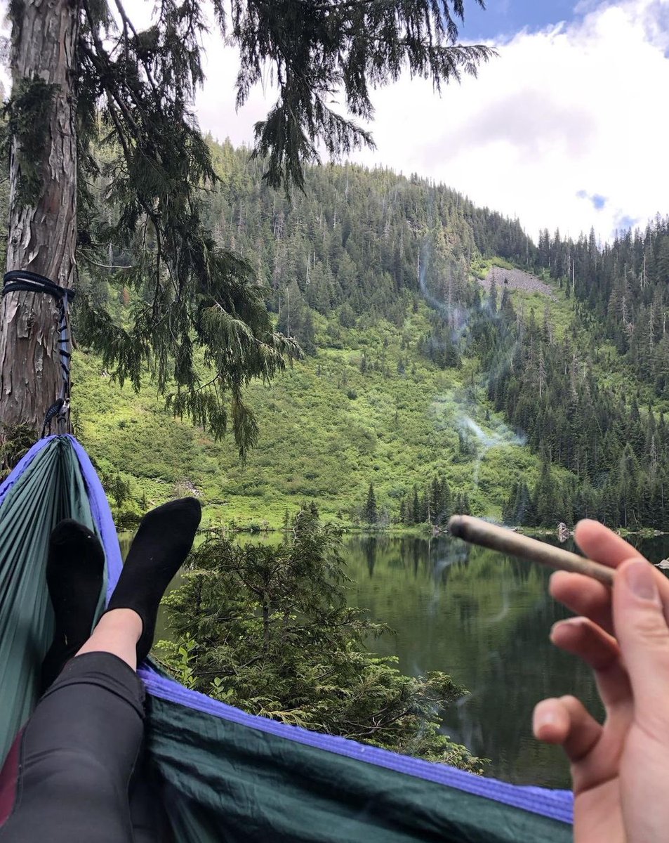 stonersvilla's tweet image. 