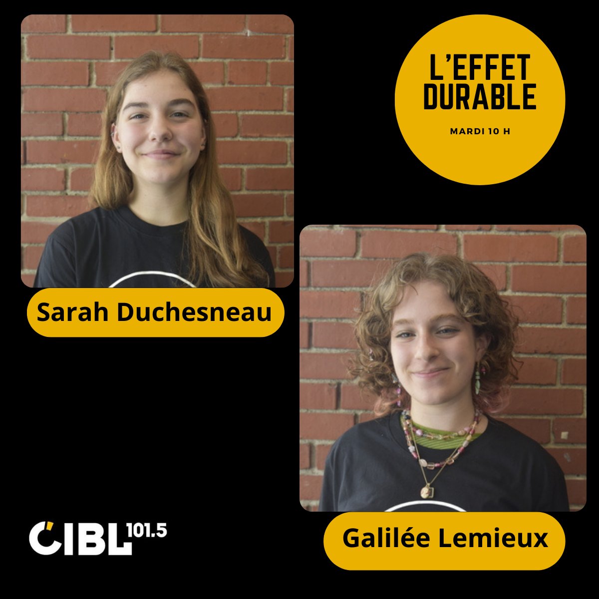 Maison dév durable tweet media