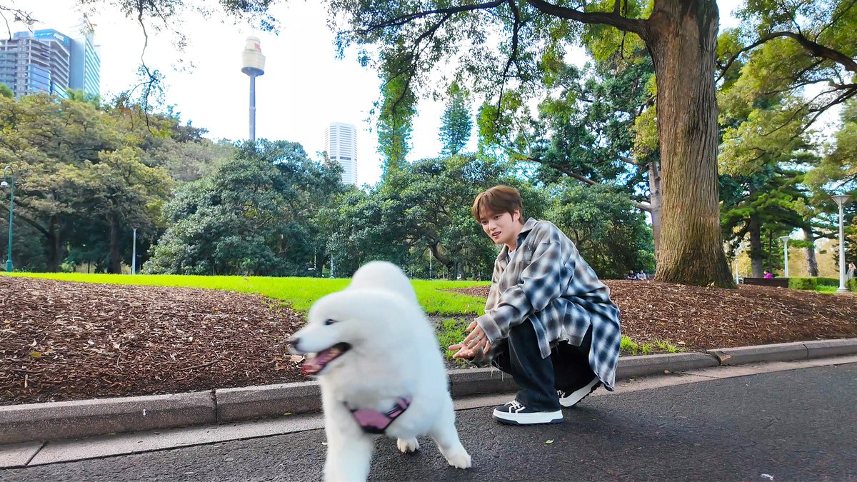 bornfreeonekiss's tweet photo. https://t.co/jUewnpjRt6 https://t.co/nsr7c9SP4g