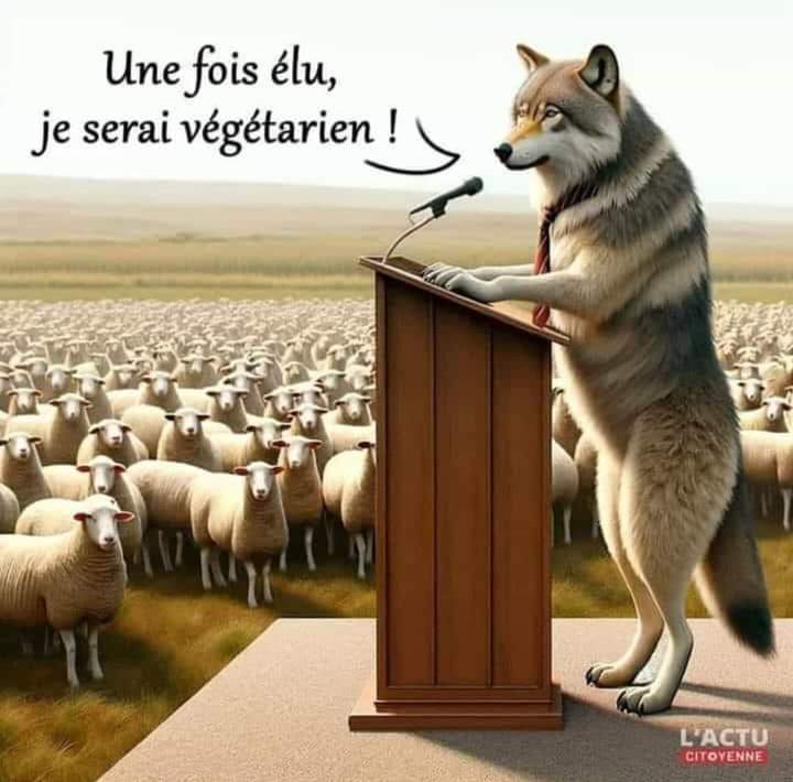 CaesarKOBRY's tweet photo. C'est cela la Politique. https://t.co/uCYd8y6Crf