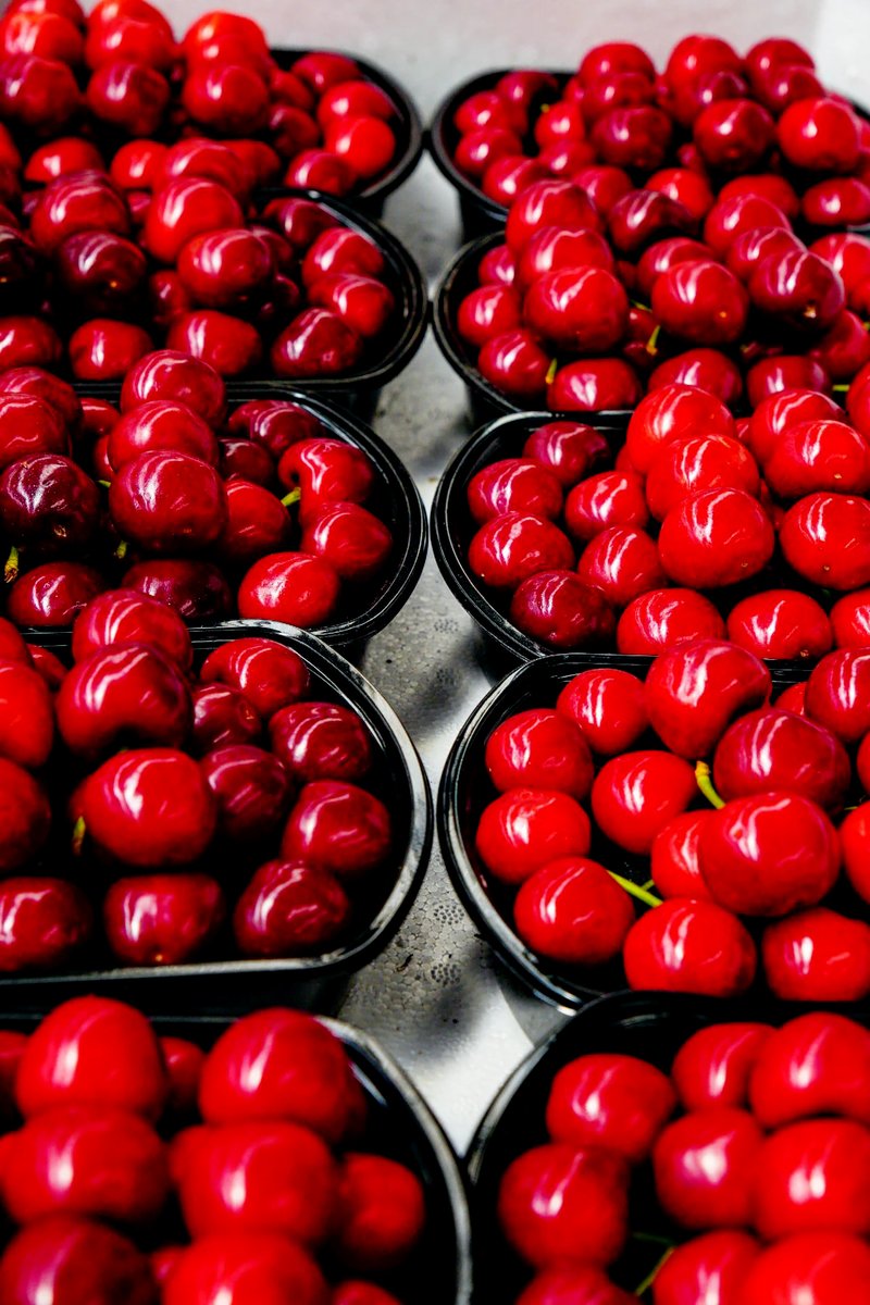 DiscoverYantai's tweet photo. 🍒#Yantai's big #cherries hit the market now!🍒
#Fushan District, as the main production area of big cherries, boasts an annual output of up to 90,000 tons. Please come and enjoy these sweet juicy fruits which have a rich and aromatic flavor! 😋🤩🍒🍒#ProduceOfYantai 
(Source: Yantai Culture and Tourism Authority, Photo by Xiao Cao, Tai Benmin)