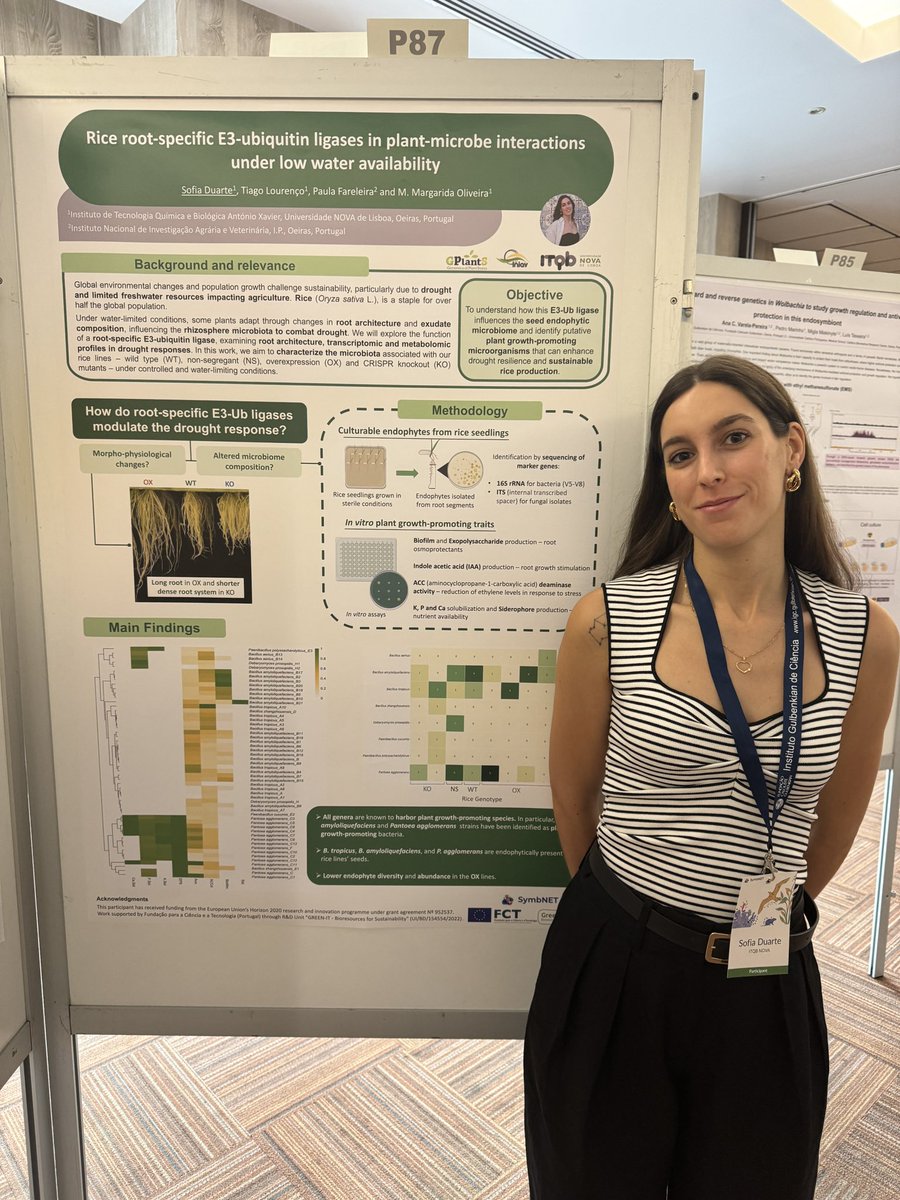 SofiaDuarte__'s tweet image. 💬 Yesterday, I had the opportunity to present a poster communication at the first SymbNET International Conference on Host-Microbe Symbiosis. This communication highlighted the results obtained thus far in my PhD project.
#symbnet2024 @itqbnova @greenit_bio4sus