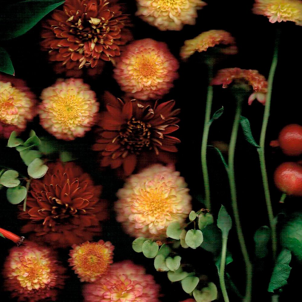 Celeste Sterling tweet media