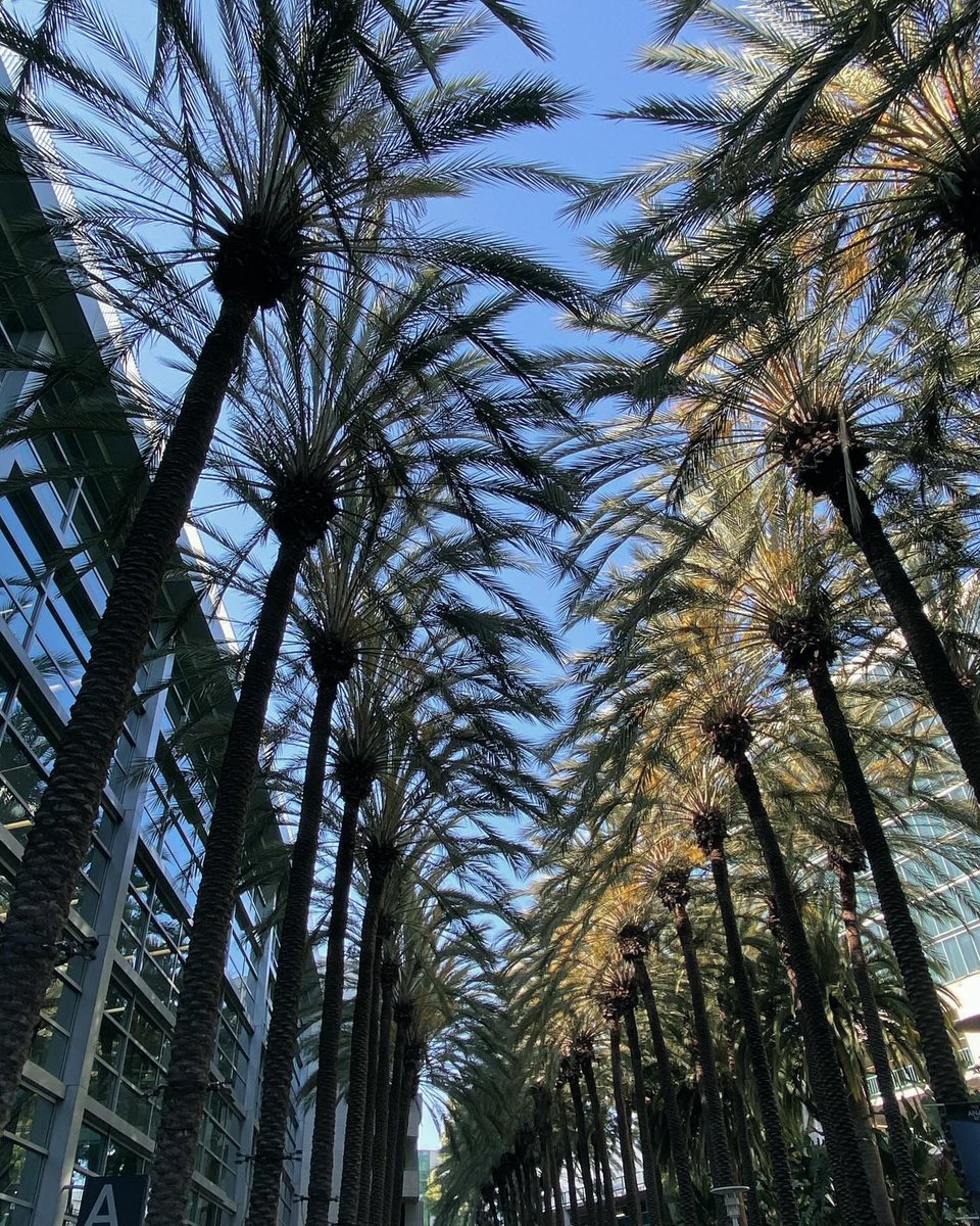 Isaure_CSergent's tweet image. 🌴 #ASMS2024 is over, it was such an exciting week!
Poster presentation was an incredible opportunity to present my work on digital polymers &amp;amp; the general concept of encoding/decoding data at the molecular level ☺️ Thanks everyone!