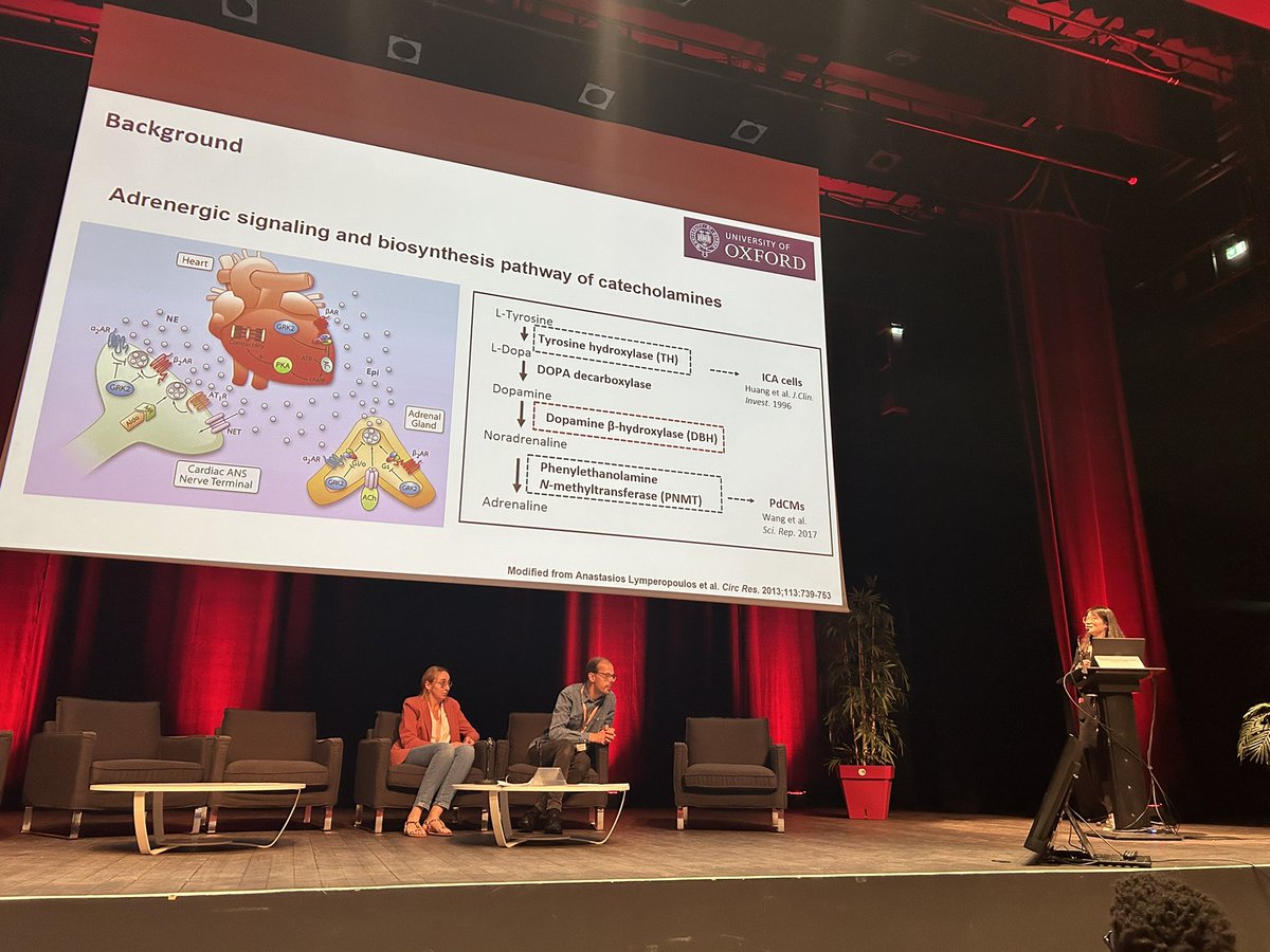 PavlovicDavor's tweet photo. And we kick off the #ISHR_ES_2024 meeting with a fantastic young investigator programme. Some really great science presented. 

@ISHR_ES @ISHR_ECI @ISHR_LAT @36th_ISHR2021 @ISHR_AUS @ECI_ISHR @ISHR_NAS @MonikaGladka @ChristophMaack @SeanDavidsonHCI @Julie_PDS_ @ICVS_UoB https://t.co/s7XN3omPj9