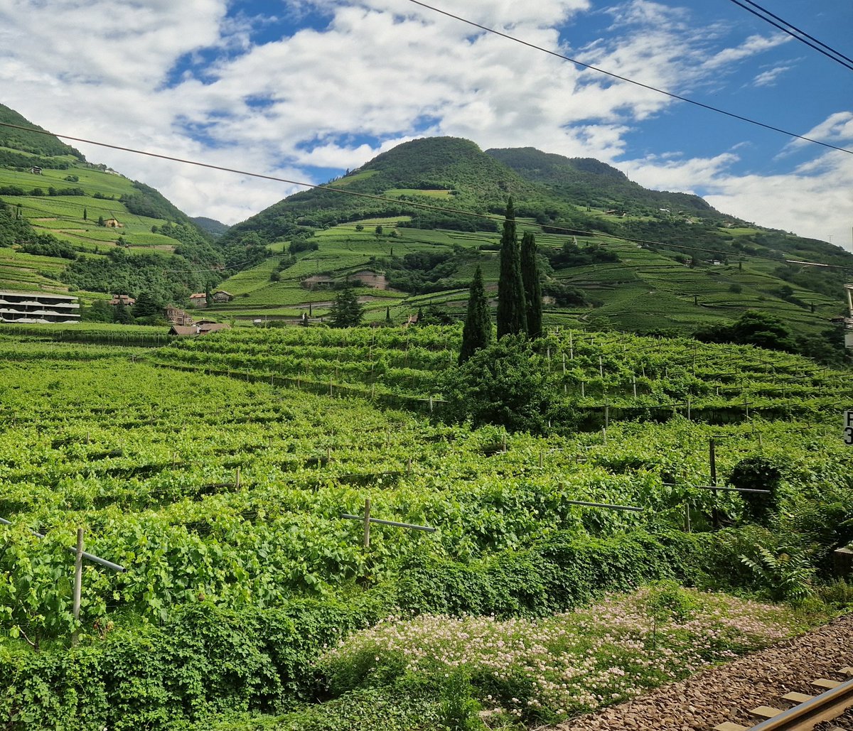 On route to #RSA24 in Florence by train via Innsbruck. 😀🚆 Spectacular views as I cross from AUT into ITA. 😮 I picked up on several different languages just around me (🇦🇹🇩🇪🇮🇹🇫🇷🇯🇵🇪🇸🇹🇷) and everyone 😁&amp;🤗 - Europe is a beautiful place, don't you forget it when you 🗳 next 🇪🇺🌍💙