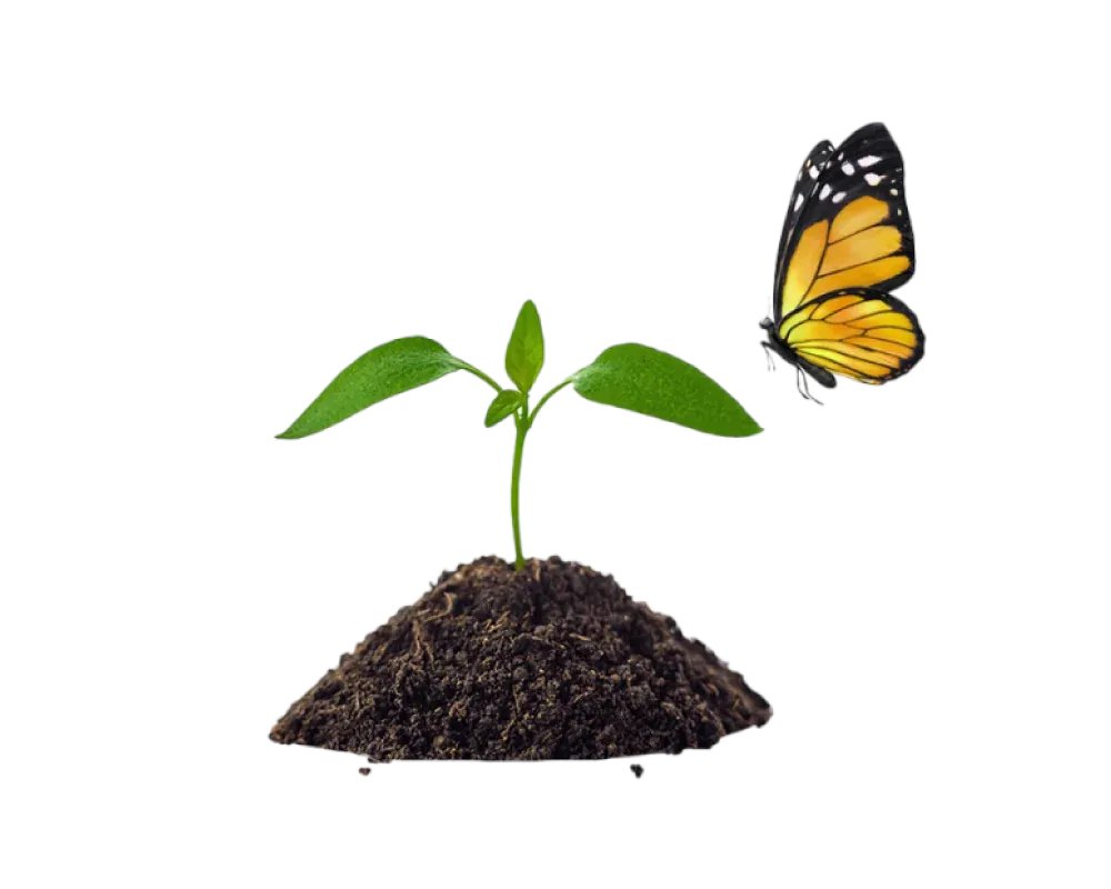 Calling all <a href="/TELUS/">TELUS</a> customers: refer a friend, plant a tree! TELUS will plant a tree for every successful referral you make by June 30, 2024. Plus, you’ll both get a $50 reward. Let’s help grow a healthier future. #EnviroWeek #TeamTELUS #TeamTELUS bit.ly/3x0d8io