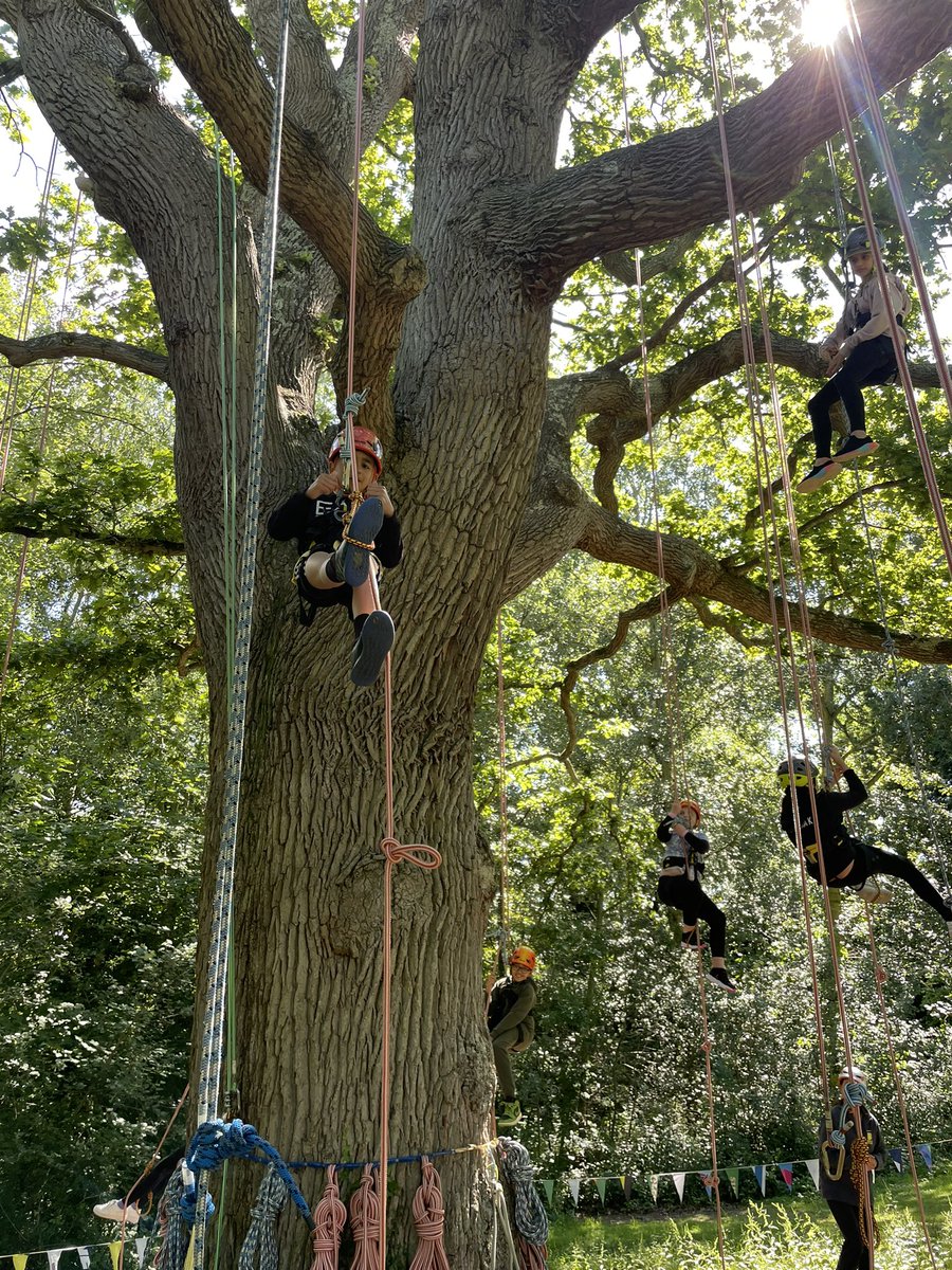 MissMortlock's tweet photo. They are all so brave! 😊🌳 @HeadBeechfield @MissFullerBF @MrsWMohranBFS @mrs_diwanBF https://t.co/VQ4uBG3tcf