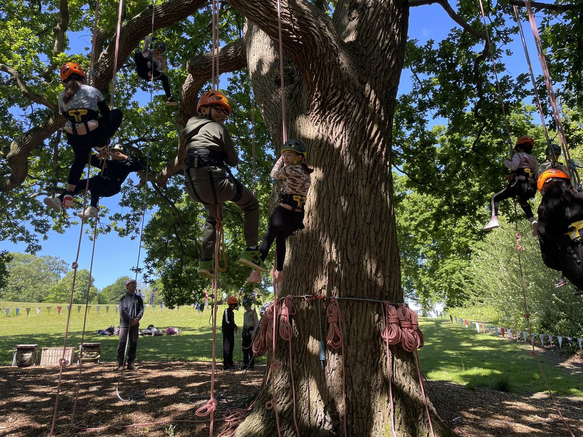 MissMortlock's tweet photo. They are all so brave! 😊🌳 @HeadBeechfield @MissFullerBF @MrsWMohranBFS @mrs_diwanBF https://t.co/VQ4uBG3tcf
