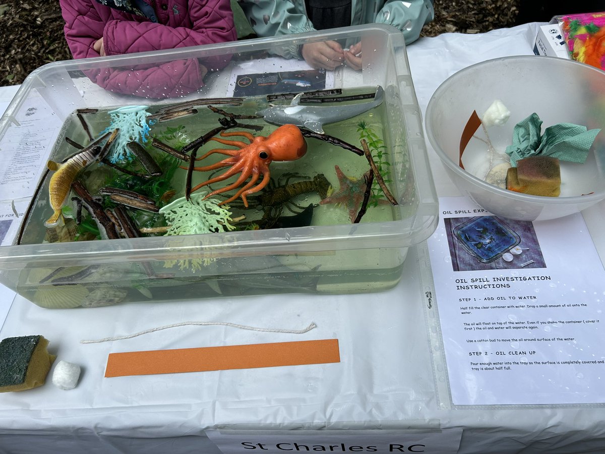 Y2 from <a href="/stcharlesrcpri1/">StCharles</a> are investigating oil spills in the environment for <a href="/GreatSciShare/">Great Science Share for Schools</a> - George from Y2 said, ‘Why would you allow oil spills!’. <a href="/laudatosicentre/">laudatosicentre</a> <a href="/RCSalfordEd/">Diocese of Salford Department for Education</a>